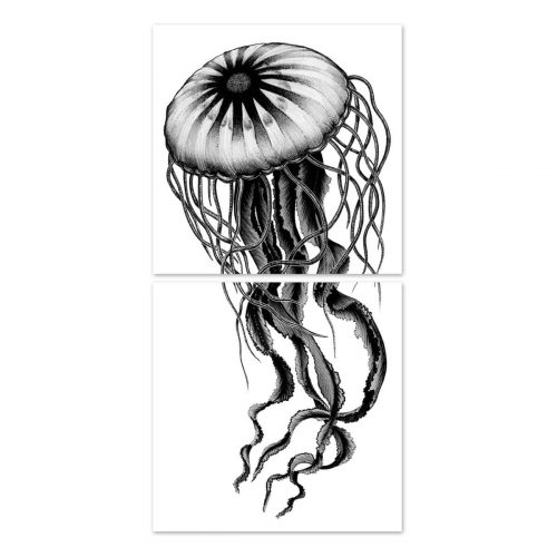 adhesive-jelly
