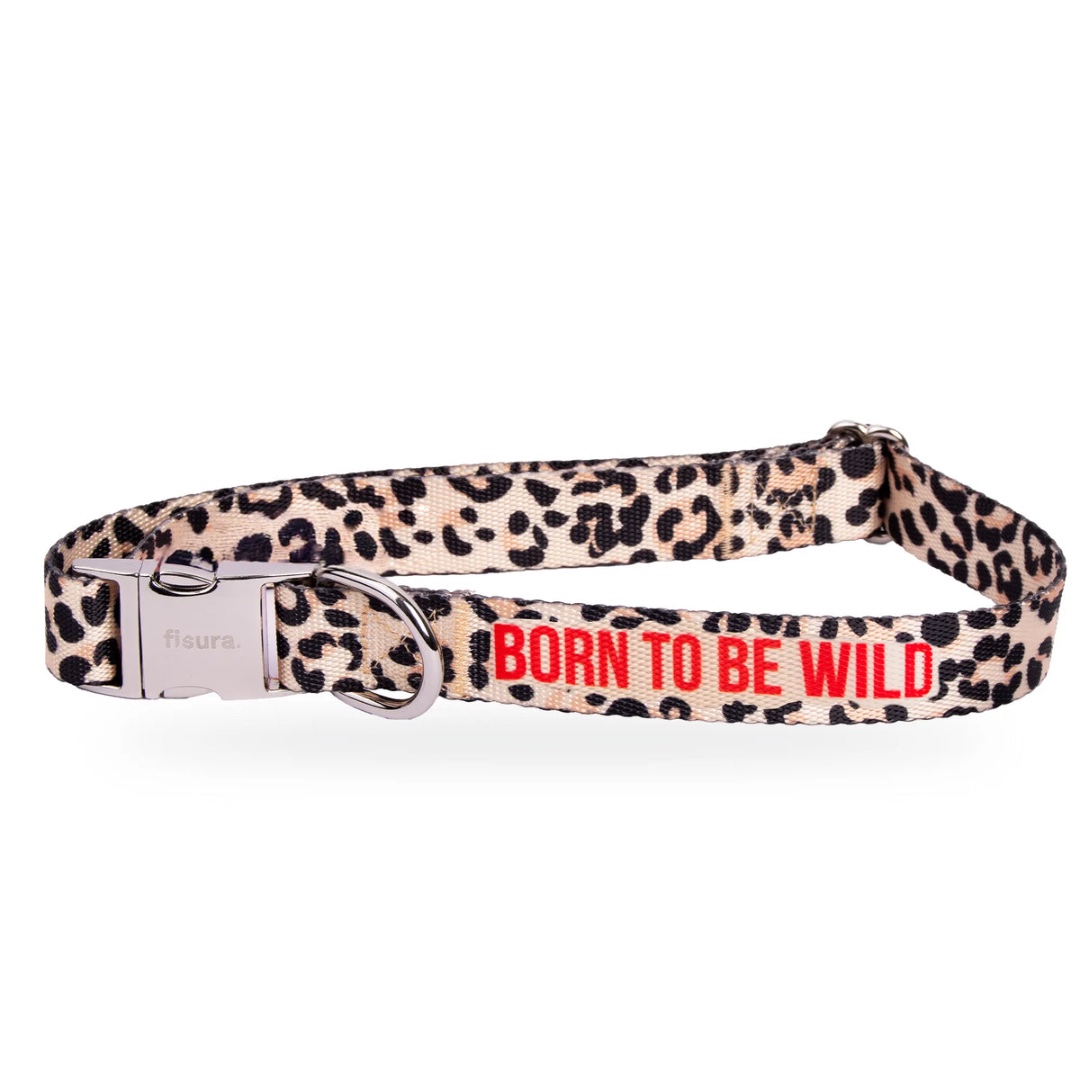 SET COLLARE E GUINZAGLIO “BORN TO BE WILD” TG.S
